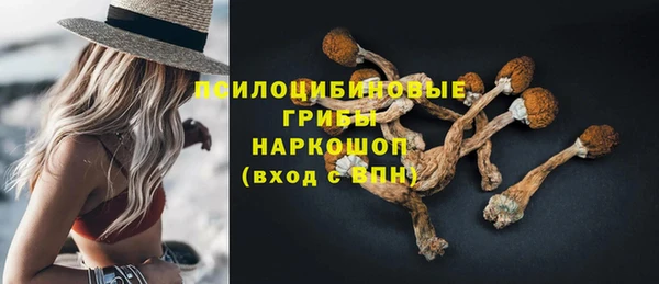 сатива Волоколамск