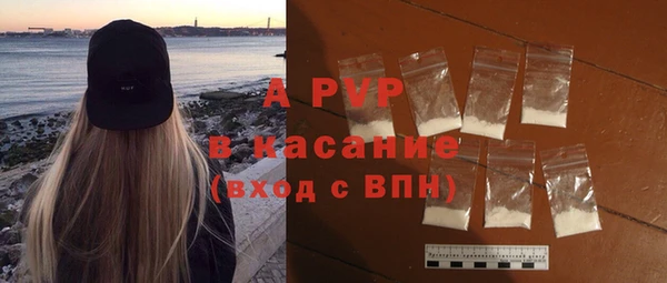 сатива Волоколамск