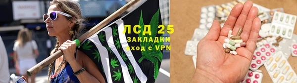 сатива Волоколамск
