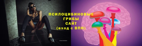сатива Волоколамск